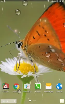 Rainy Live Wallpaper android App screenshot 2