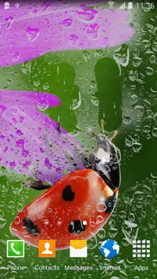 Rainy Live Wallpaper android App screenshot 5